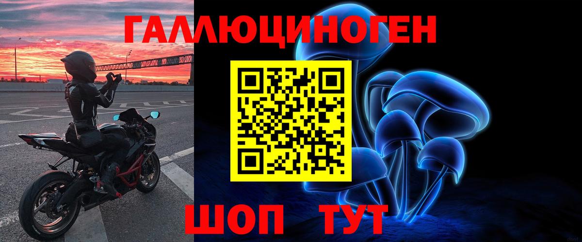 Галлюциногенные грибы Cubensis Шахты