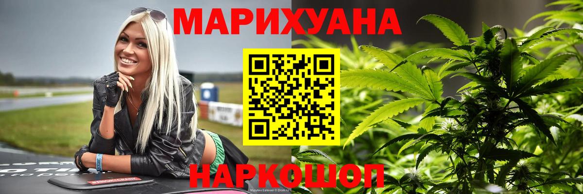 МАРИХУАНА сатива Шахты